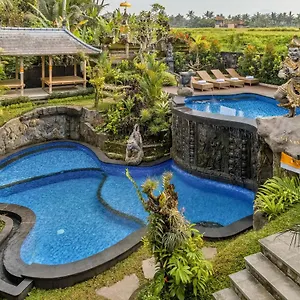 Gynandha Indonesien